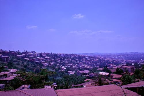 L'Oasis verte L'Oasis verte