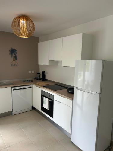 Palme bleue t3 au diamant Palme bleue t3 au diamant