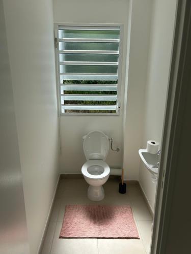 Palme bleue t3 au diamant Palme bleue t3 au diamant