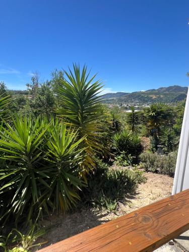 Surrounding environment, Highhaven on Quebec, sunny hillside, central Nelson hideaway with city to sea views in Washington Valley