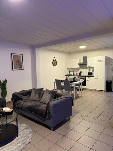 Appartement de Luxe Entièrement Rénové - Proche Aéroport de Bruxelles, Quartier Chic, Bruselas (foto 7)