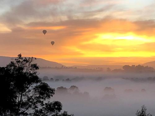 Honeycomb Hill of Yarra Valley in Steels Creek