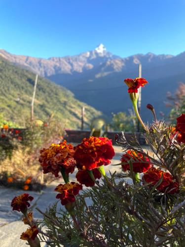Közeli látványosságok, Hotel Trekkers Home Nepal in Dhital