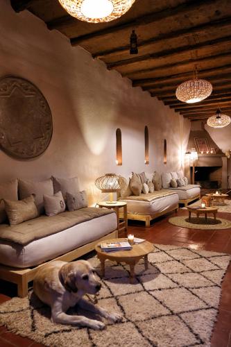 La Ferme Berbère, Marrakech