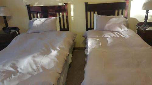 Albatross B&B – Benoni, PA