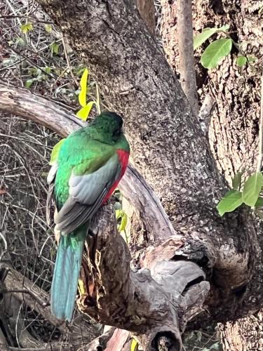 Tranquil Garden Nest in Dykrus