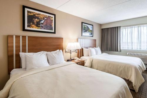 Standard Queen Room with Two Queen Beds