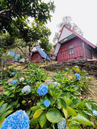 อุกฤษฟาร์มฮิลล์ ภูชี้ฟ้า in Thoeng