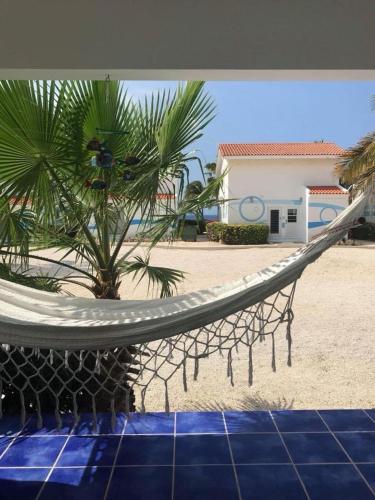 Little Slice of Paradise in Westpunt