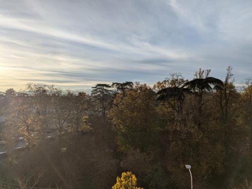 T3 lumineux avec vue panoramique - Point du Jour, Lyon (fotografie 9)
