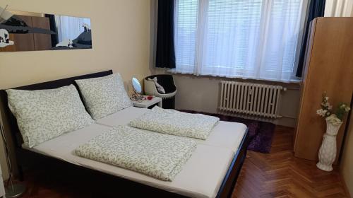Apartment Dream, Praga (foto 8)