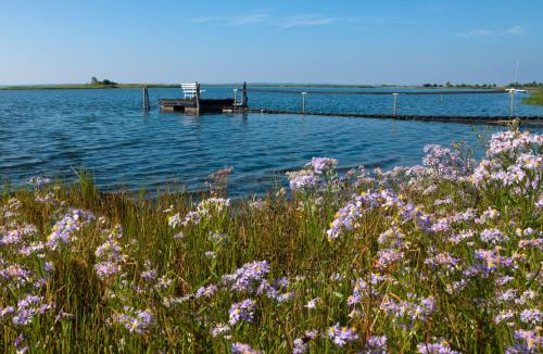 Inselhäuser Kaltenhof Inselhaus Poel 1 - image 13