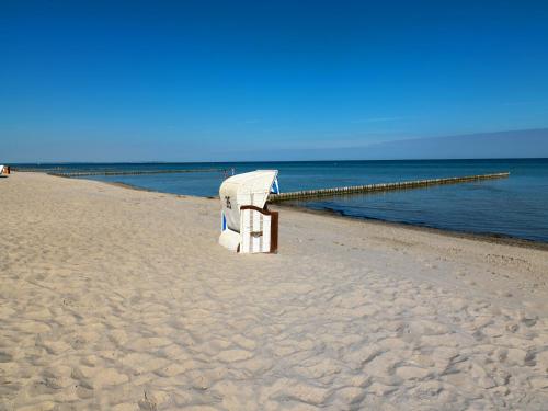 Steinfurths Hüsing Gartenoase