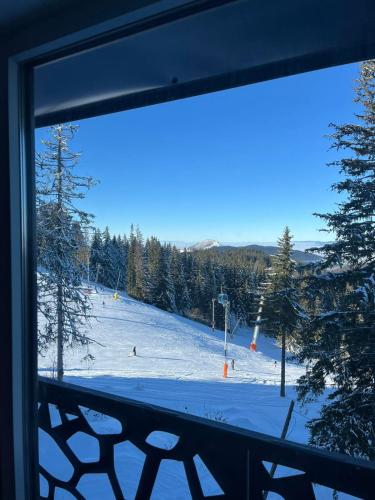 La Familia in 亚霍里纳