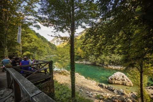 GRAB ethno village and camp - main image