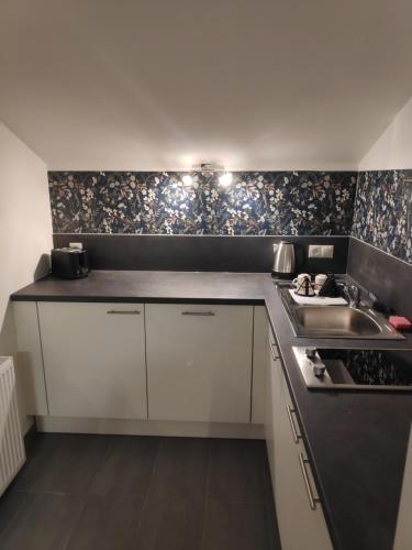 مطبخ, Aparthotel Horn Bahnstrasse in هولي ول