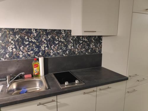 مطبخ, Aparthotel Horn Bahnstrasse in هولي ول