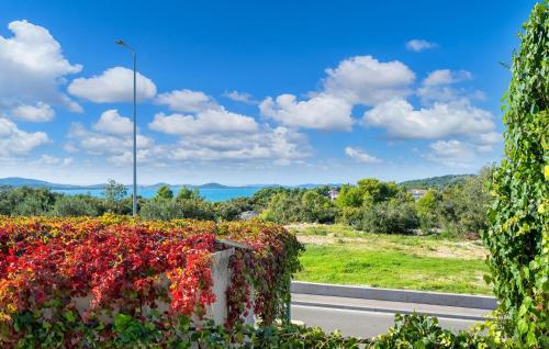 1 Bedroom Cozy Apartment In Pirovac