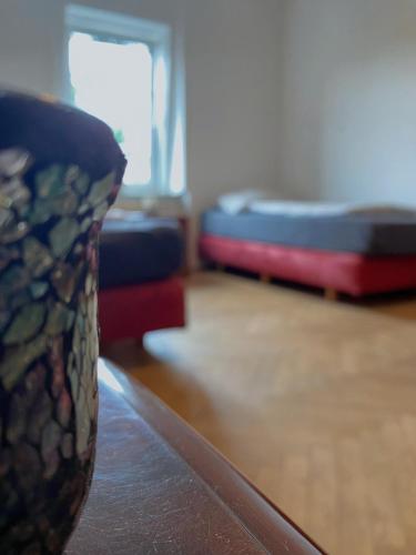 Royal Retreat Hostel - Steps from Schönbrunn Palace!!