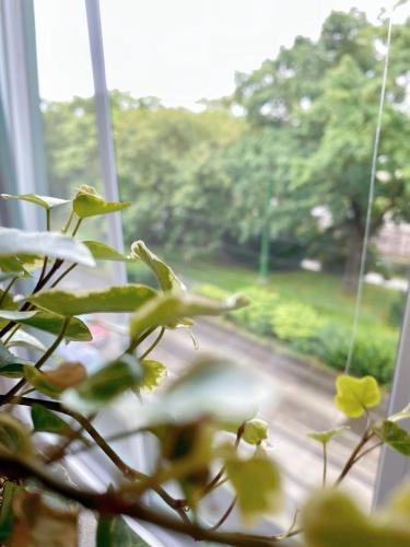 Royal Retreat Hostel - Steps from Schönbrunn Palace!!