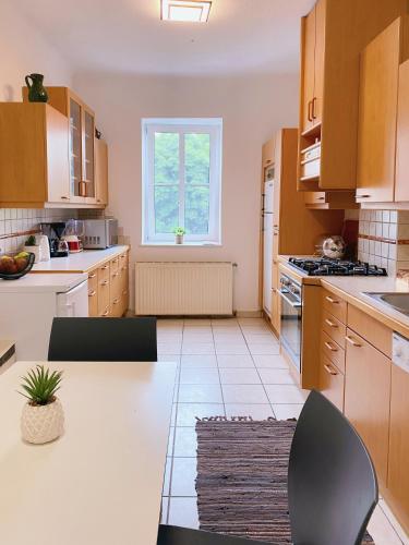 Royal Retreat Hostel - Steps from Schönbrunn Palace!!