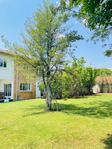 27 on Cowley, Johannesburg (foto 4)