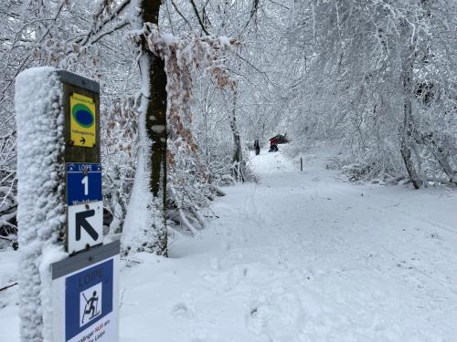 Apartment ELMA Souterrain Apartment ELMA Souterrain