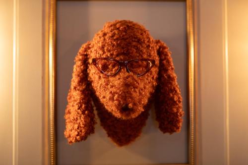 Mount Edgcumbe - image 4