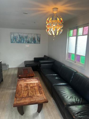 Palm Hamilton Backpackers  in Brisbane