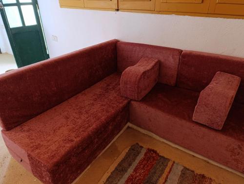 Bostan studio, Fayoum (foto 6)