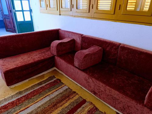 Bostan studio, Fayoum (foto 7)