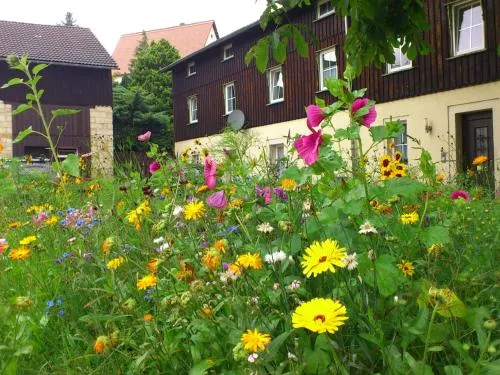 chicke Ferienwohnung in Struppen in Struppen, Deutschland