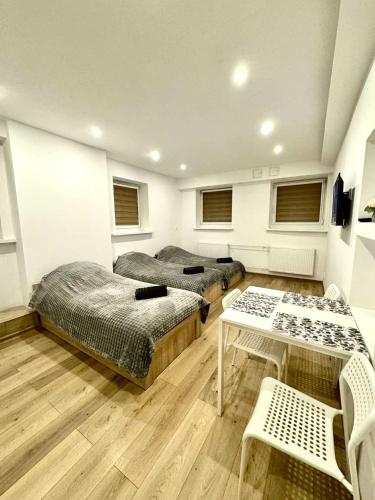 Lokietka kawalerka - Legnica