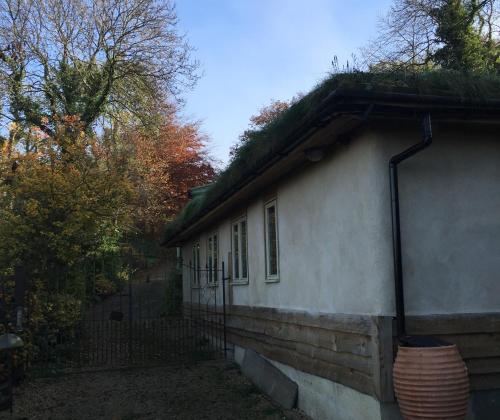 Pathways Beachwood Cottage - image 11