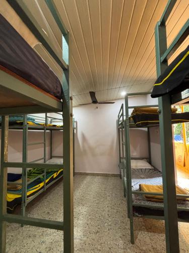 1 twin bed