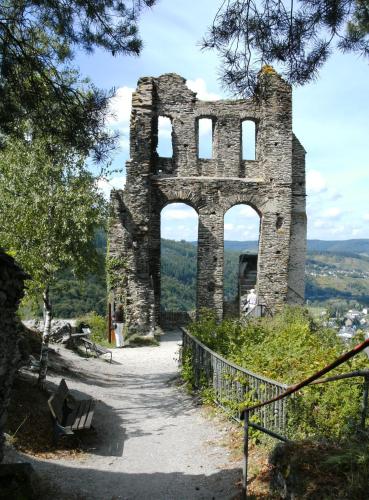 Ferienanlage - Am Moselufer 480m von Enkirch entfernt