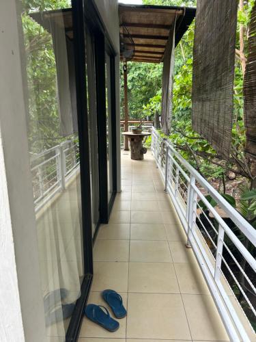 blue waves hostel amed in Amed