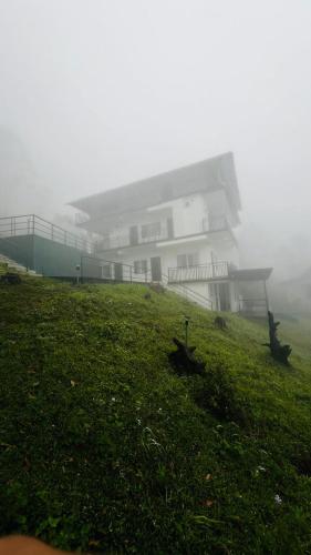 Misty Cloud, Devikolam (fotografie 6)