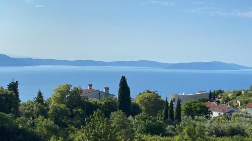 Villa Castelina Part I of twin house in Ripenda Kras