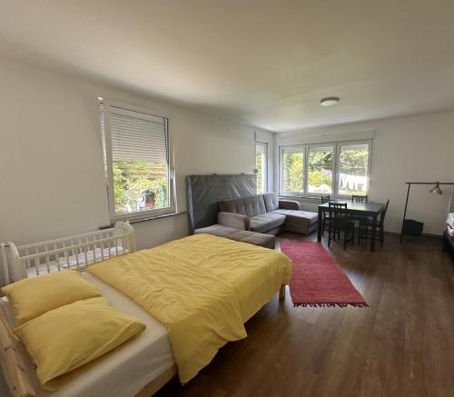 Studio - simply living, Amberes