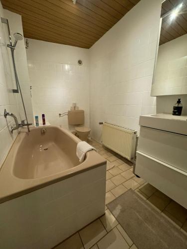 Three-Bedroom Apartment image 8