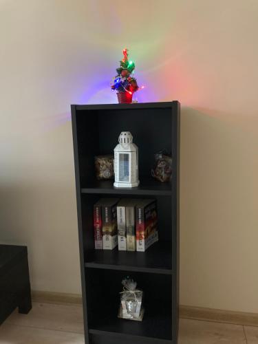 Apartament Górski