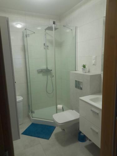 Apartament Rodzinny, 3 pokoje, 65m2, DARMOWY PARKING, place zabaw, siłownia, Breslau (Foto 5)