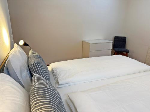 Echtholz, 110m2, Sport, Erholung, mit Garage - SU48, Sankt Moritz (foto 10)