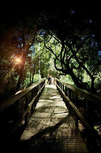 Suites VT in Praia de Daniela