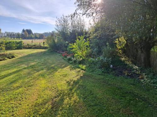 Kert, B&B de Pinguin in Verspr.h. Bergentheimerveen en omgeving