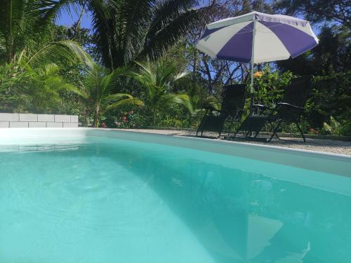 House in the palm forest, Carrillo (photo 6)