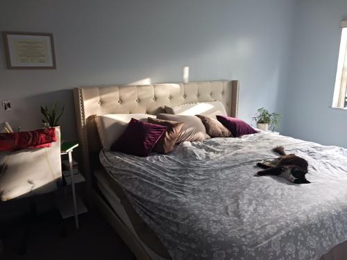 Comfy Room in Fresh Meadows in Queens