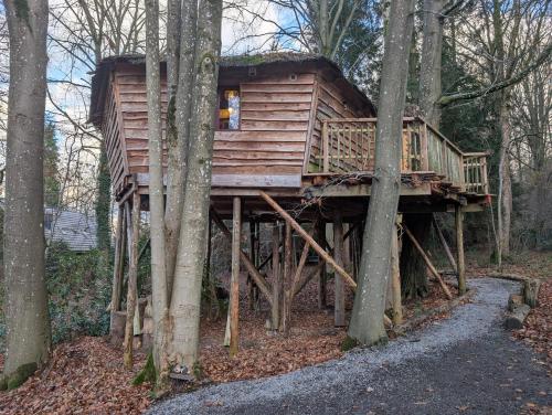 B&B La Cabane du Bois Dormant - image 5