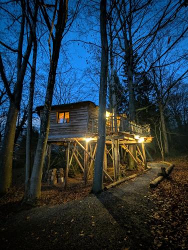 B&B La Cabane du Bois Dormant - image 2